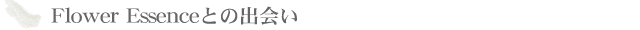 フラワーエッセンスについて