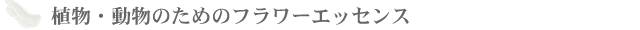 植物・動物のためのフラワーエッセンス